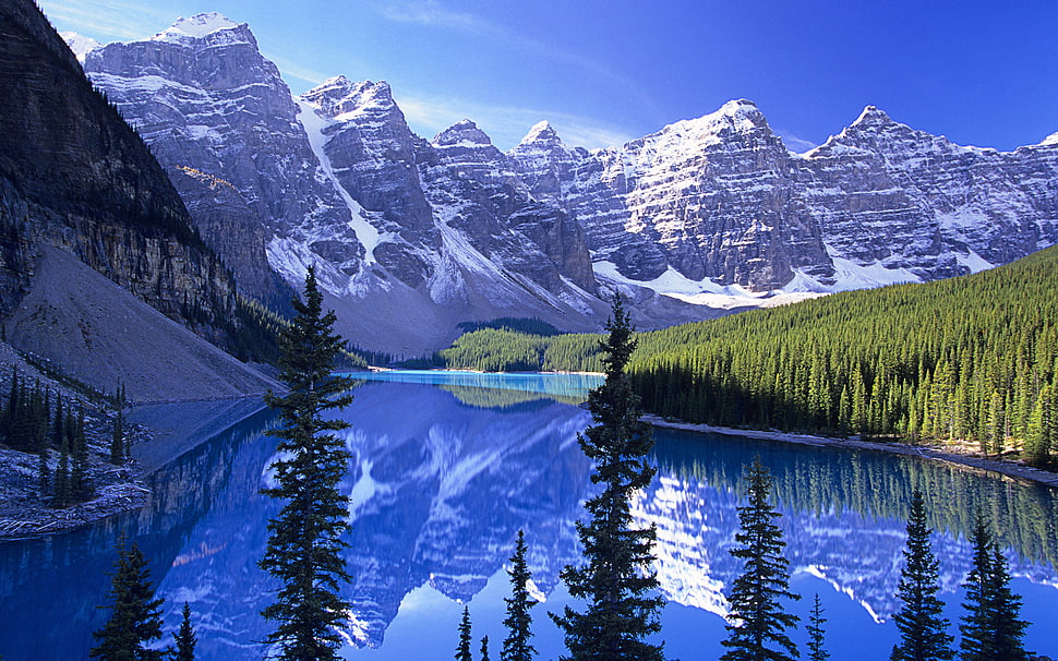 green tree mountain HD wallpaper