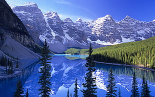 green tree mountain