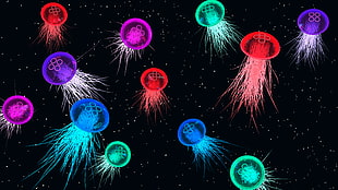 assorted-color jellyfishes wallpaper, jellyfish, space