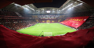 green football field, Galatasaray S.K., Turk Telekom Arena, soccer pitches, soccer