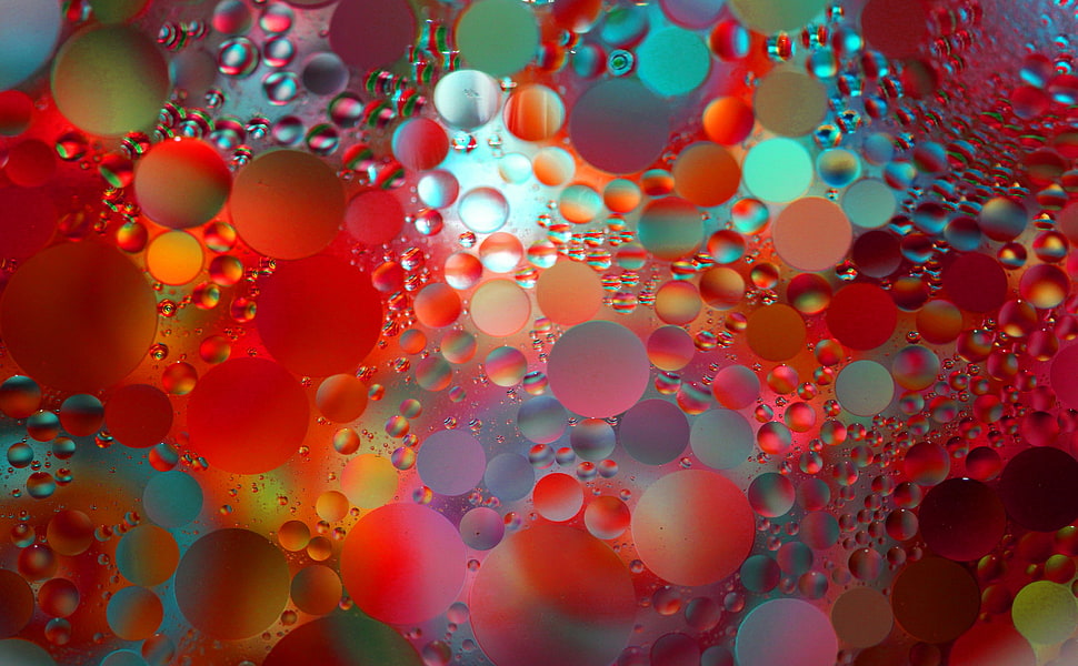 red, blue and green bubbles illustration HD wallpaper
