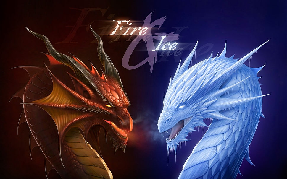 fire and ice dragon illustration HD wallpaper