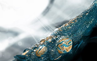 macro photograph of water dew on blue leaf
