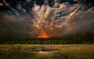 alto cirrus clouds over green grass field wallpaper, nature, trees, sunset, forest HD wallpaper