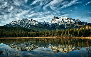mirror photography of snow capped mountain, nature, mountains, reflection, trees