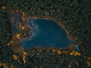 blue lagoon, Lake, Trees, Top view HD wallpaper