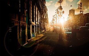 black metal light post, city, car, sunlight HD wallpaper