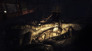 Fallout, Fallout 3, screen shot, environment HD wallpaper