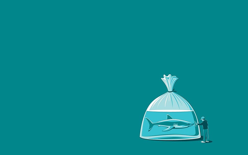 gray and white shark illustration HD wallpaper