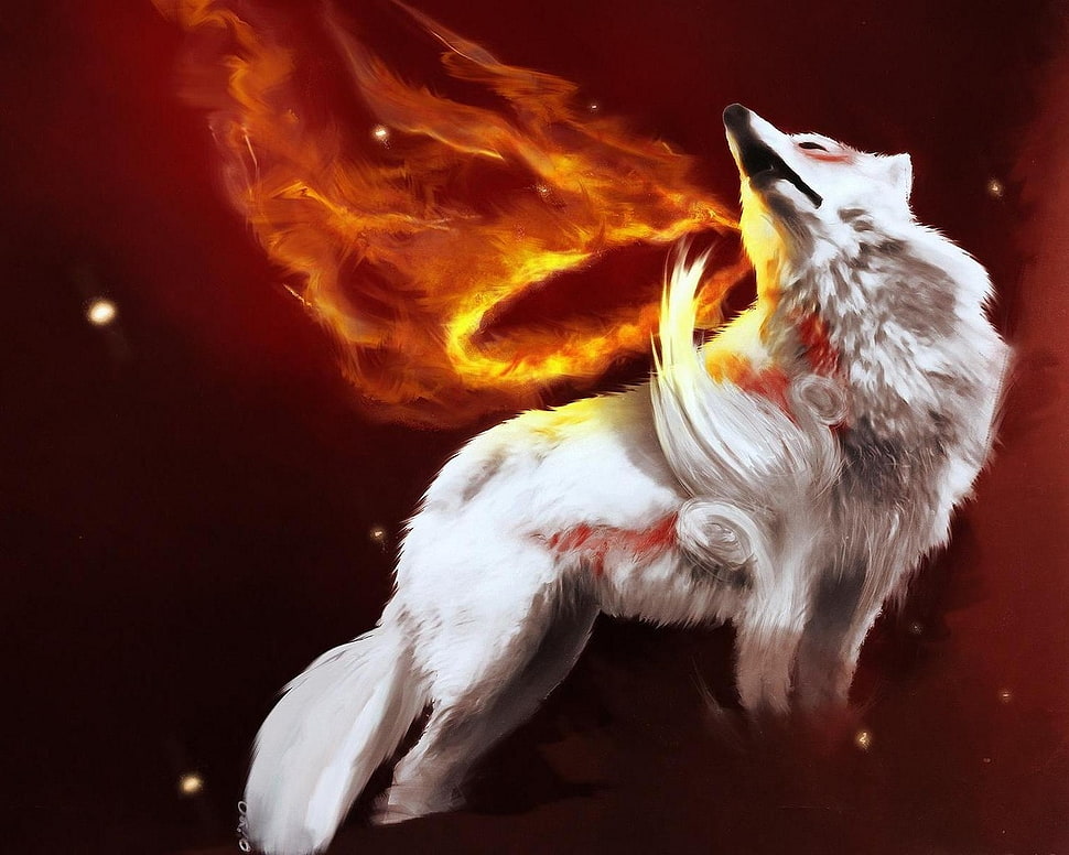 white wolf illustration HD wallpaper