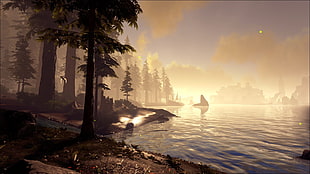 silhouette photo of trees near body of water, Ark: Survival Evolved, sunset HD wallpaper