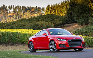 red Audi coupe on gray concrete road HD wallpaper