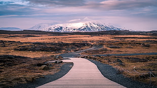 gray road, iceland HD wallpaper