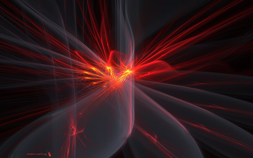 red and black digital wallpaper HD wallpaper