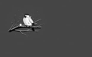 bird wearing jacket illustration, minimalism, gray, birds, cold