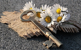 gold-colored skeleton key, Key, Daisies, Inscription