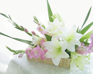pink and white petaled flowers in basket
