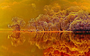 painting of red and brown trees with water reflections