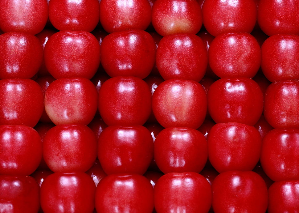 bunch of red app;e HD wallpaper