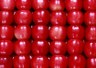 bunch of red app;e HD wallpaper
