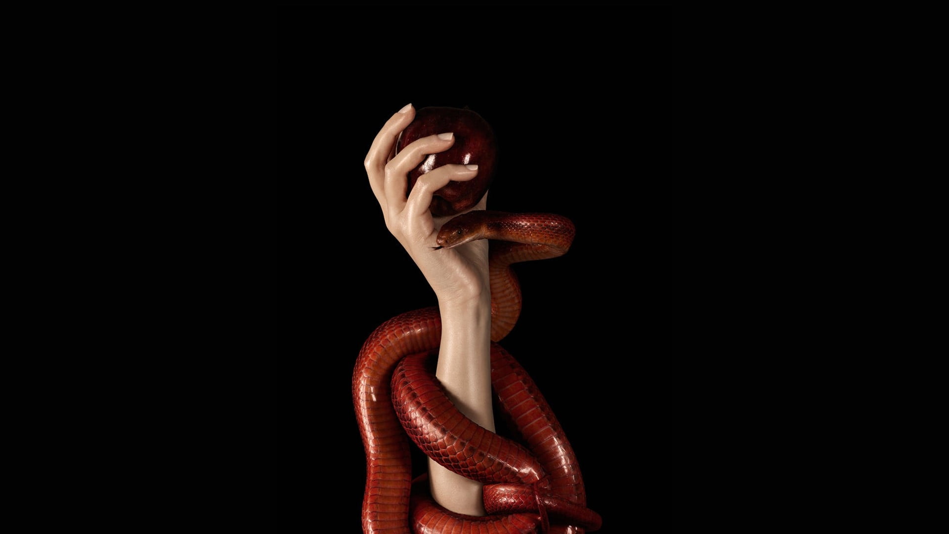 Arm with red snake HD wallpaper | Wallpaper Flare