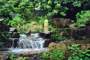 time lapse photo of pond with flowing water