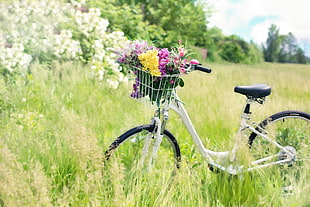 white city bike with flowers