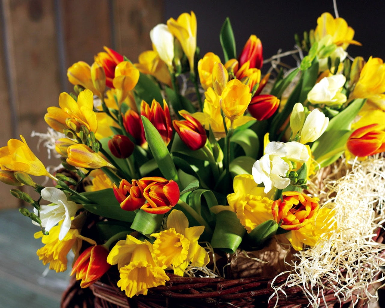 selective focus photography of yellow and red Tulip flowers