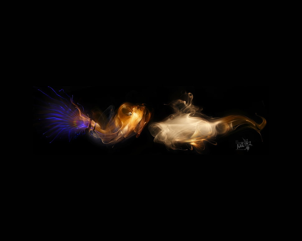 two fish flames graphic art HD wallpaper
