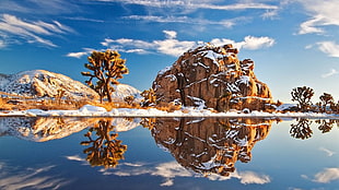 brown boulder, nature, landscape, lake, reflection HD wallpaper
