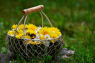 yellow and white flower arrangement on basket