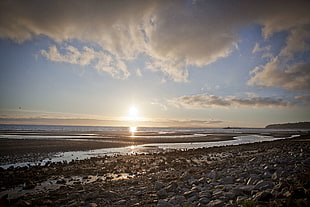 photo of seashore during golden hour, white rock