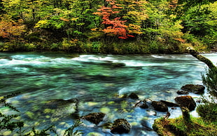 timelapse photo of flowing river during daytime HD wallpaper