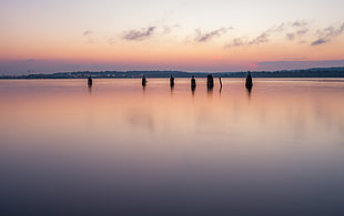 body of water and wooden post during daytime HD wallpaper