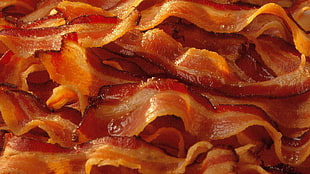 cooked bacon, bacon, food
