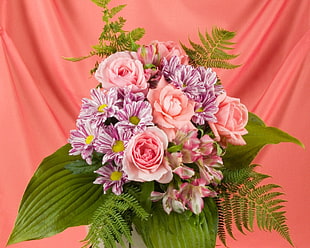 pink Rose flowers and pink blanket flowers
