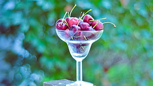 cherries in martini glass HD wallpaper