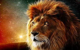 lion portrait digital wallpaper