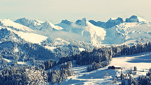 mountain range, mountains