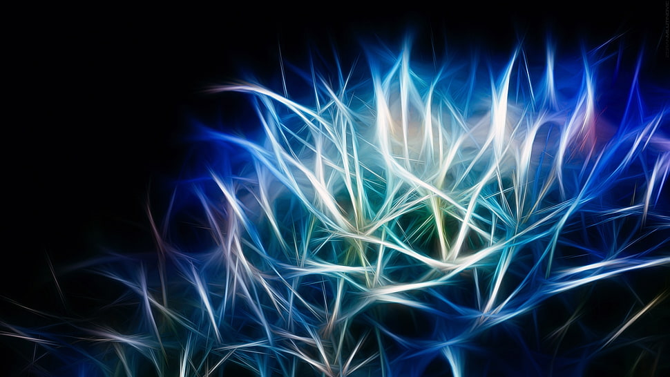 white, blue and pink illustration HD wallpaper