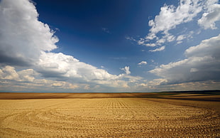 plant field under white cloudy sky