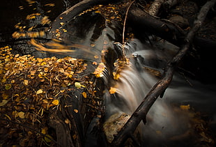 water falls and brown leaves time lapse photo HD wallpaper