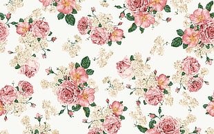white, pink, and green floral textile, pattern, pink flowers