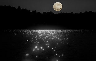 body of water and moon, moonlight, night, water
