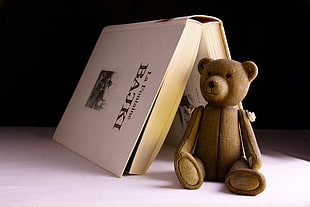 brown teddy bear, Bear, Toy, Book