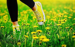person wearing black leggings and pair of yellow Converse high-top sneakers on black eyed daisy field HD wallpaper