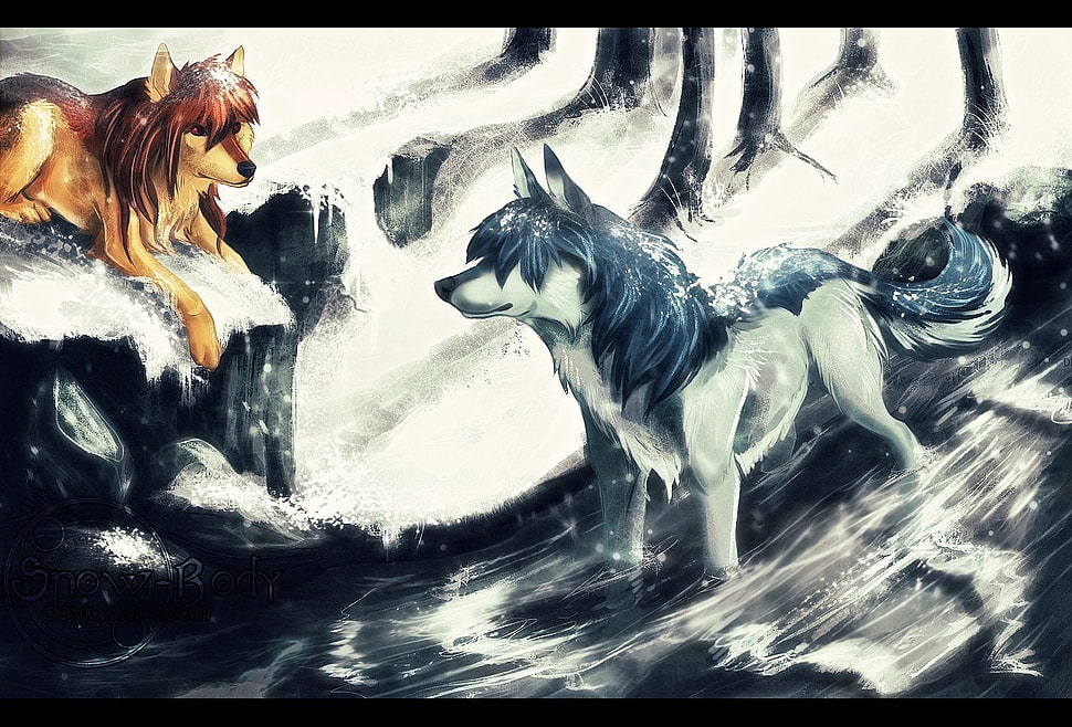 two fox wallpapers, Wolf Children, wolf, anime HD wallpaper