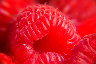 macro photography of lychee fruit