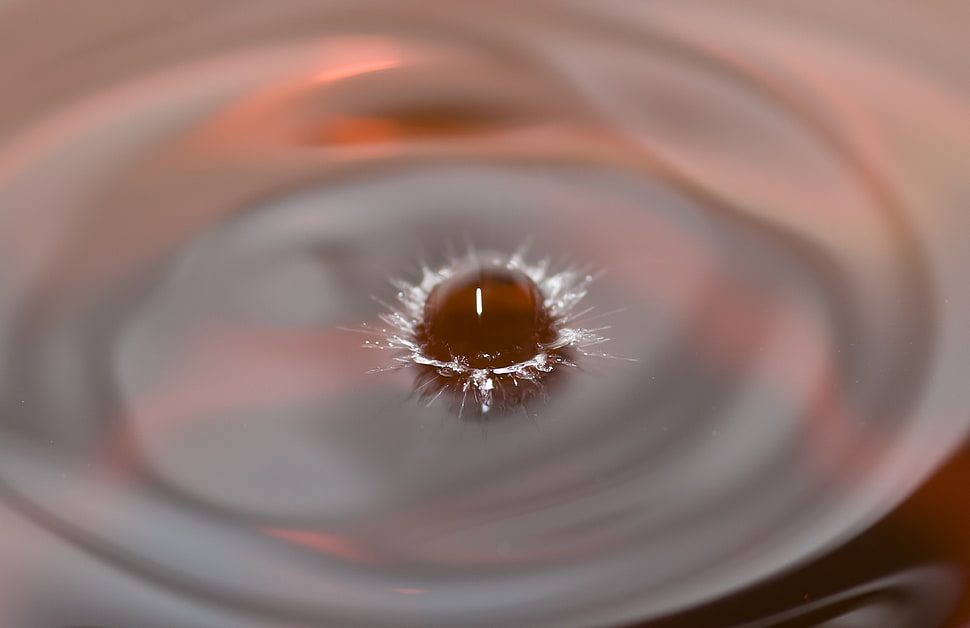 timelapse photo of liquid drop HD wallpaper