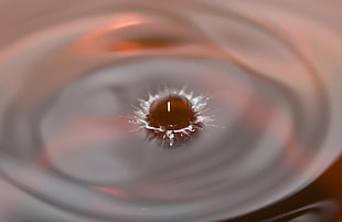 timelapse photo of liquid drop